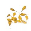 Realistic leaves - Northern Red Oak Autumn 