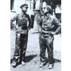 Resins - WSS 'HJ' Panzer NCO, Normandy 1944